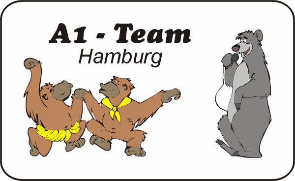 Banner A1-Team